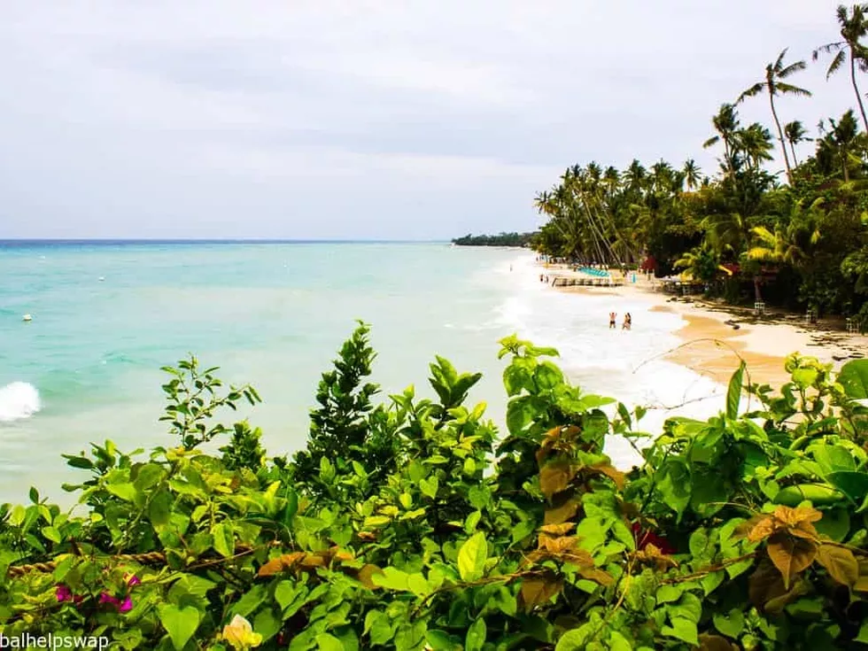 travel program image