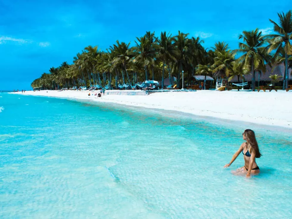 travel program image