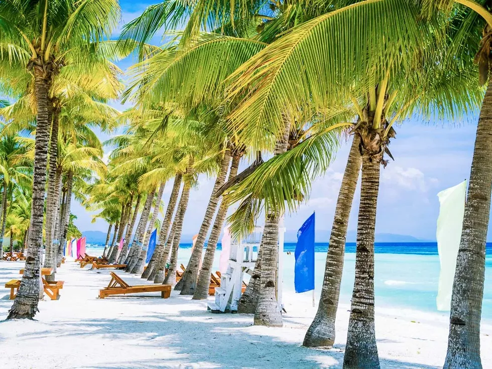 travel program image