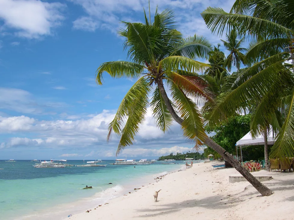 travel program image