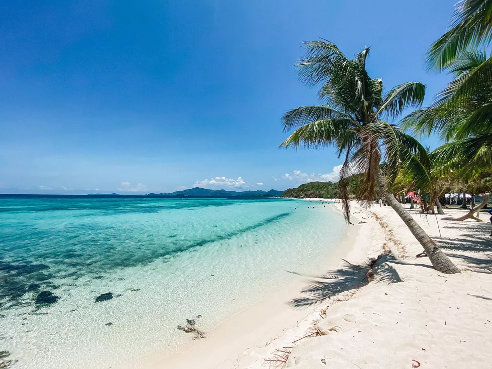 travel program image