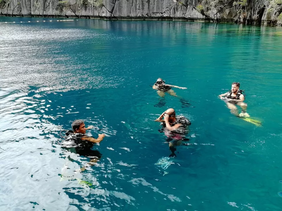 travel program image