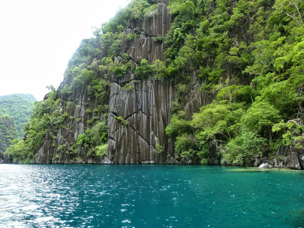 travel program image