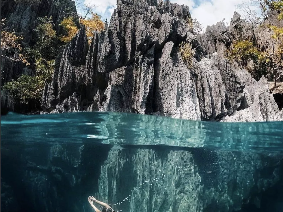travel program image