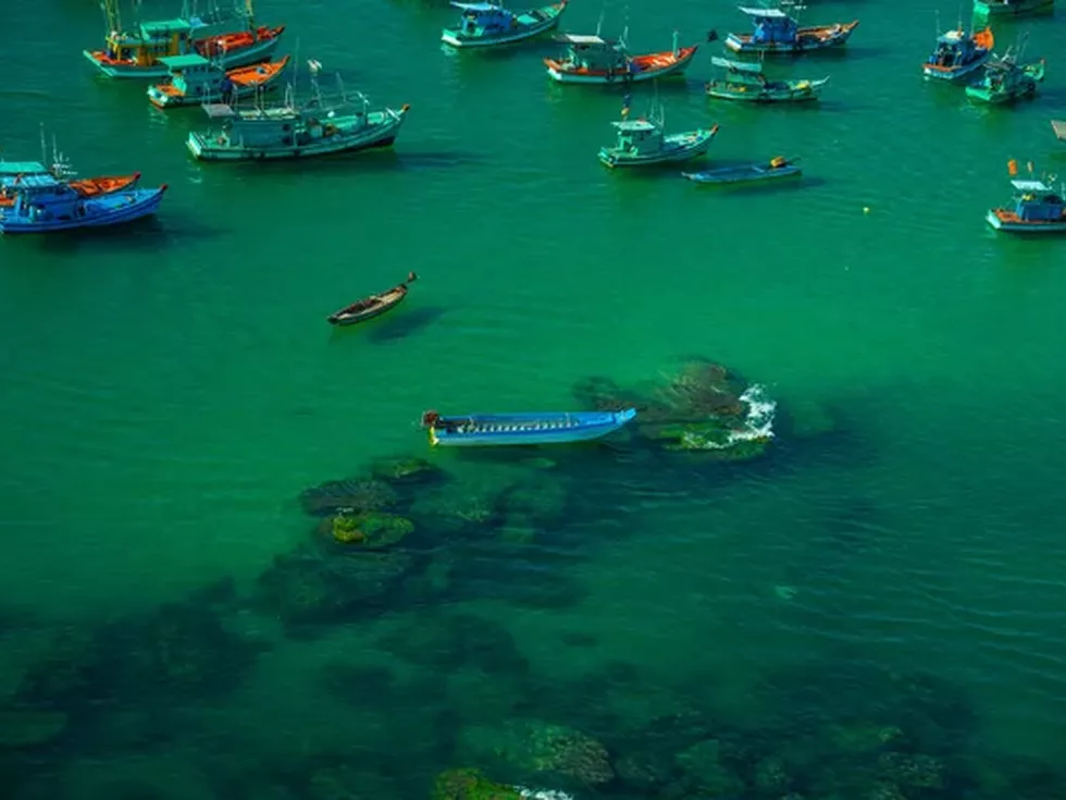 travel program image