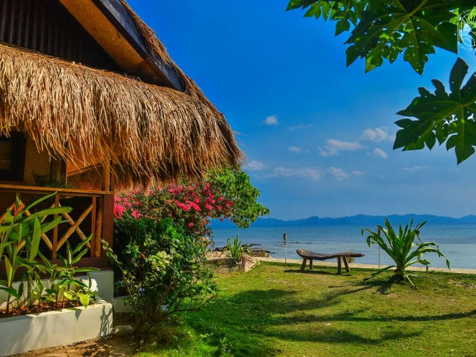 travel program image