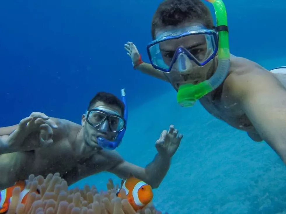 travel program image