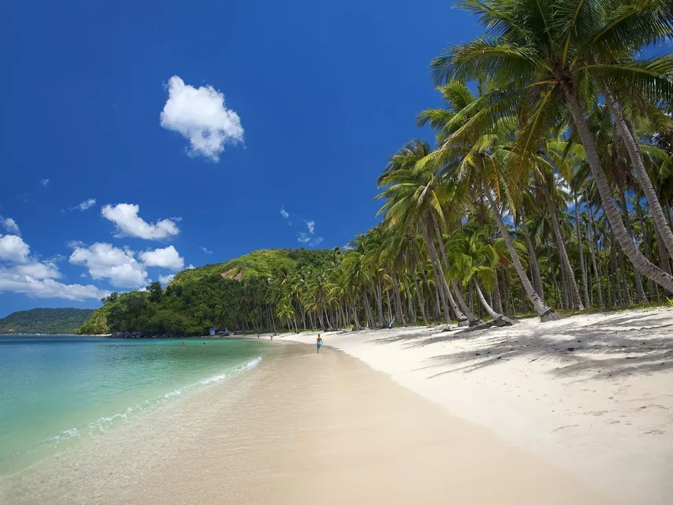 travel program image