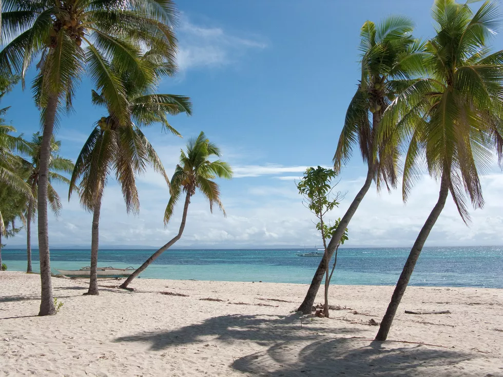 travel program image