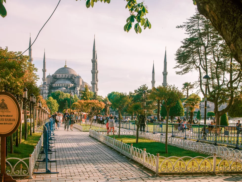 travel program image