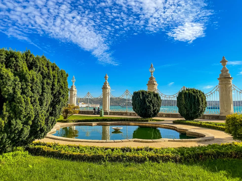 travel program image