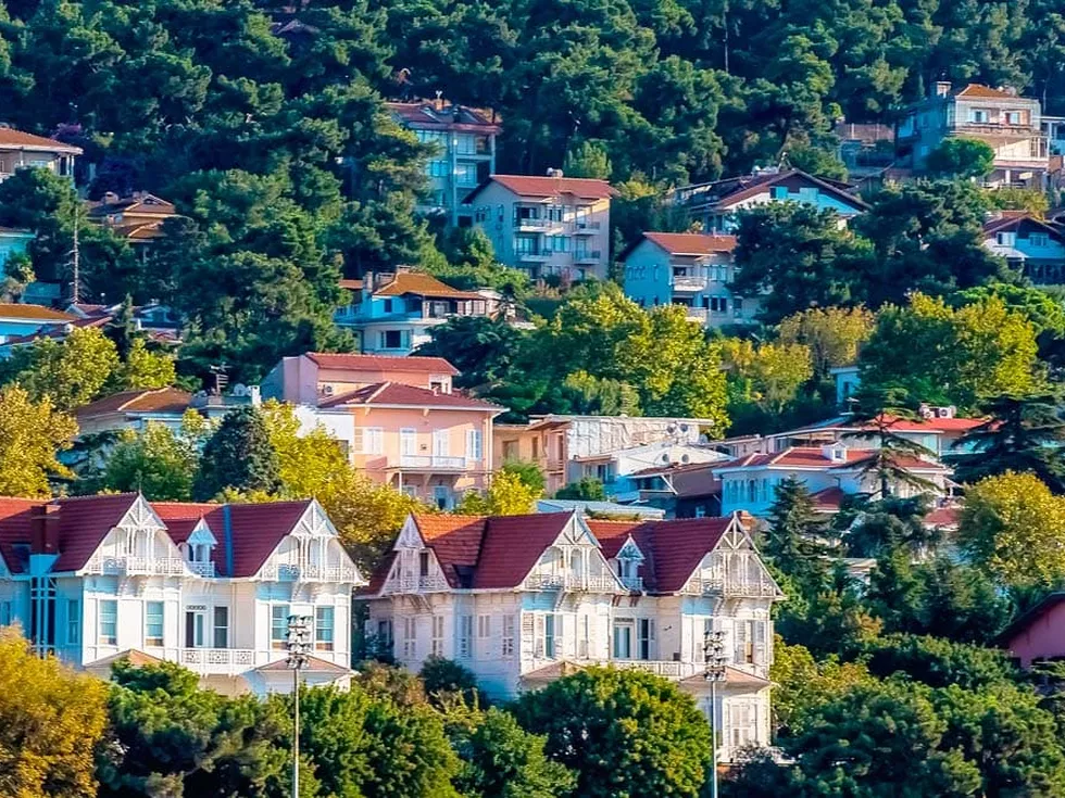 travel program image