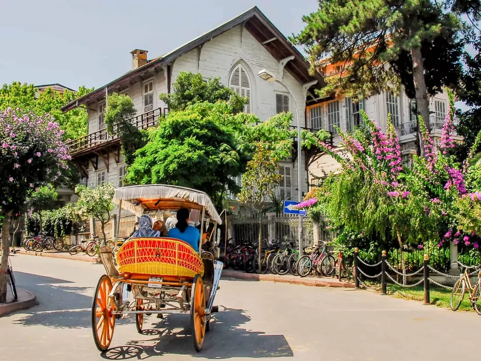 travel program image