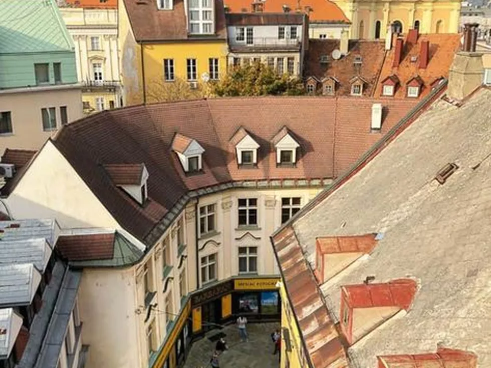 travel program image