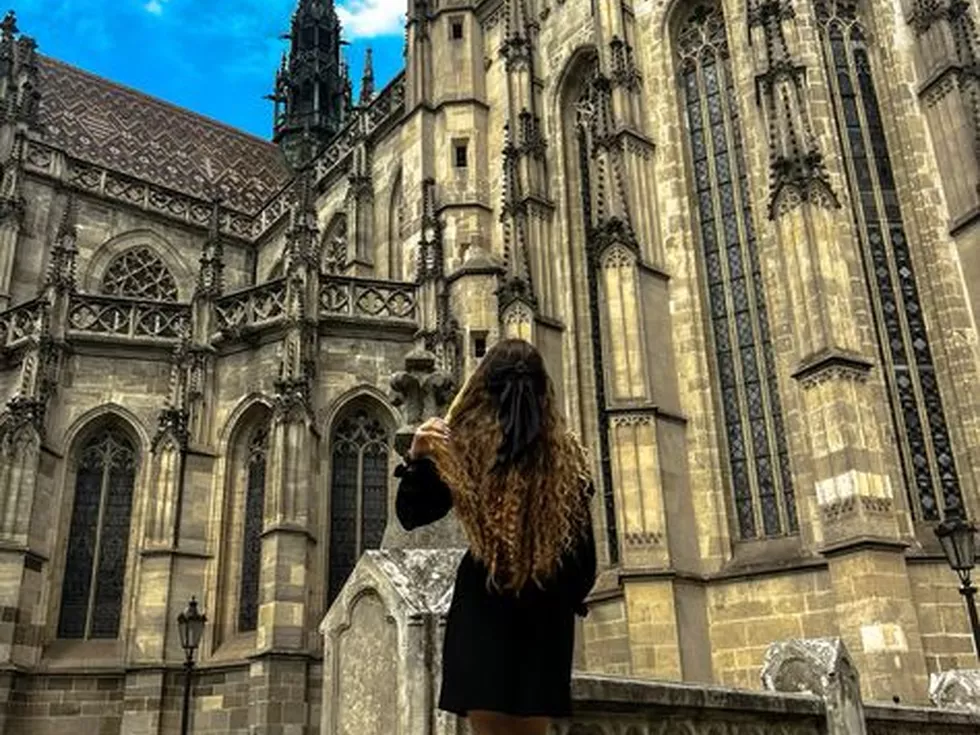 travel program image
