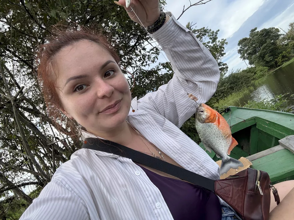 travel program image