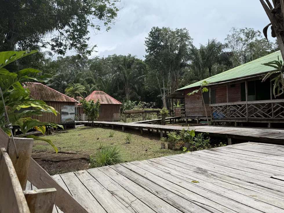 travel program image