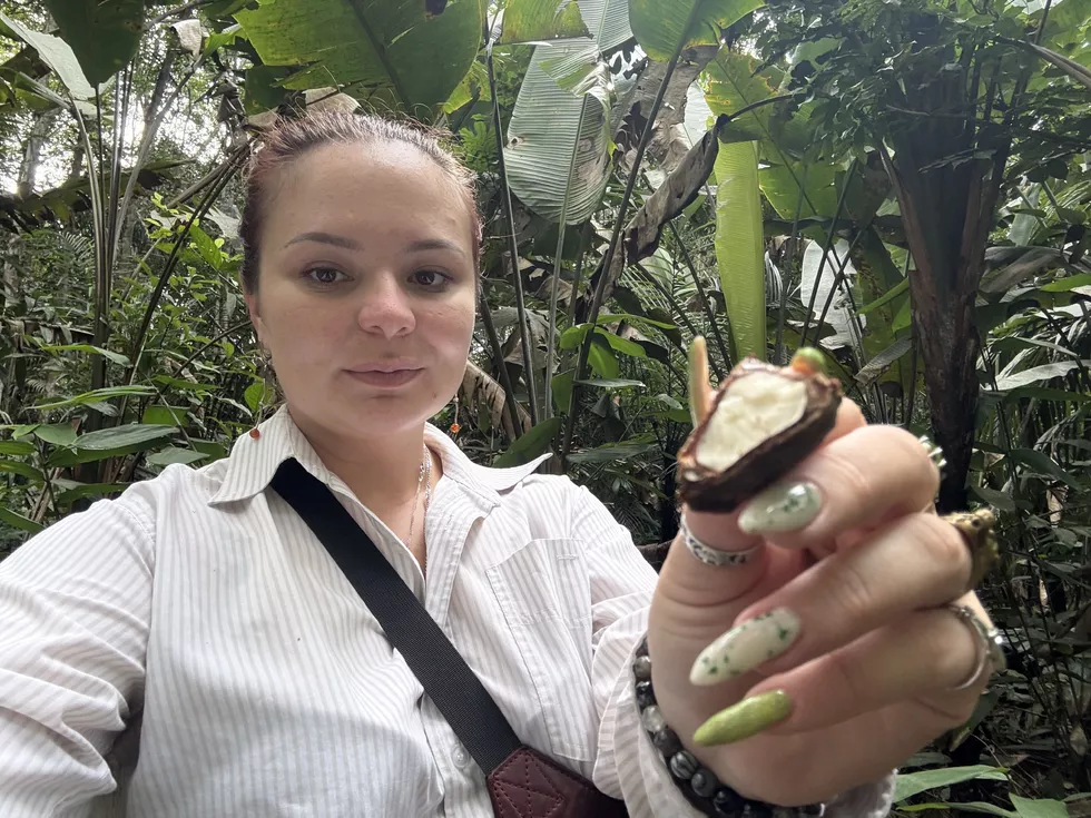 travel program image