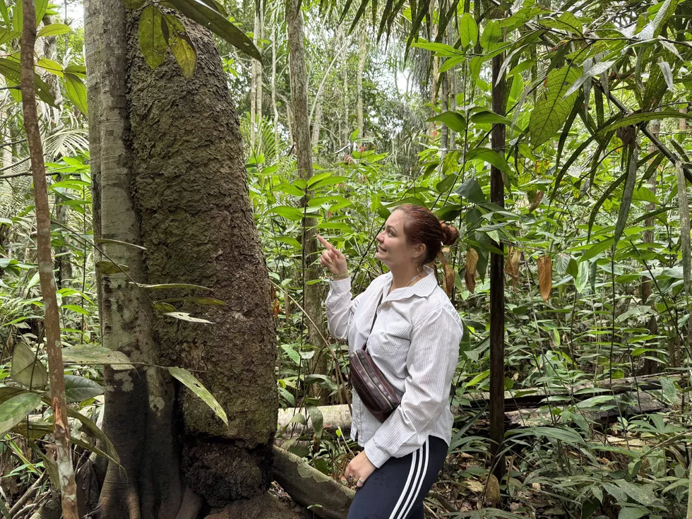 travel program image