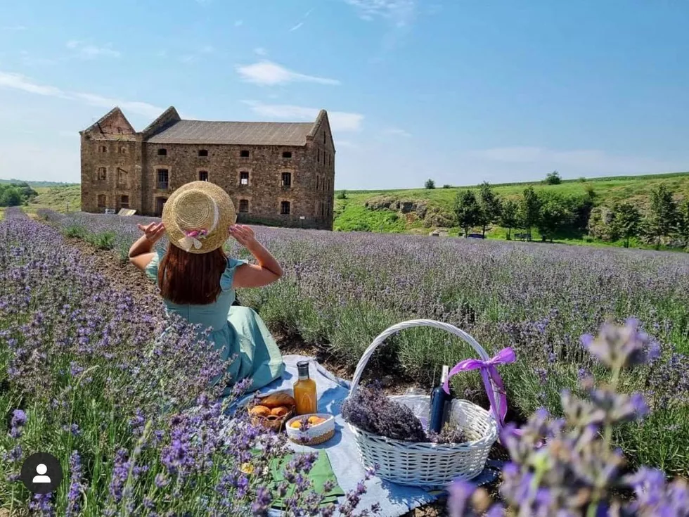 travel program image