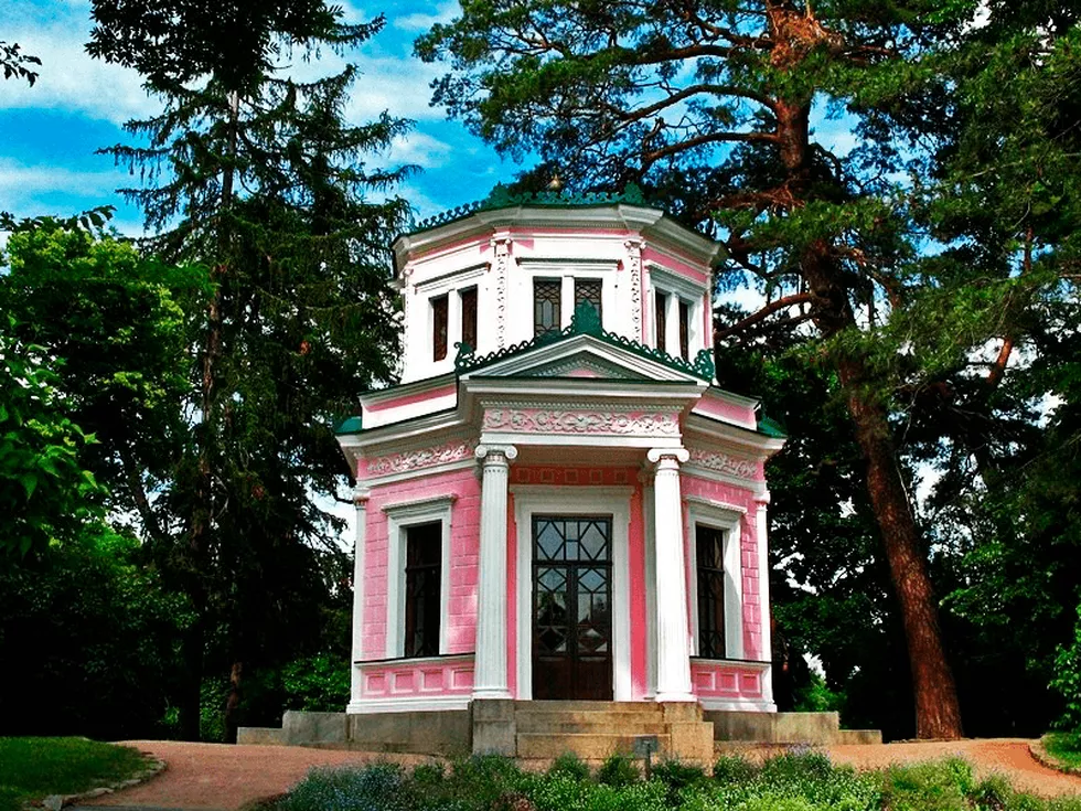 travel program image