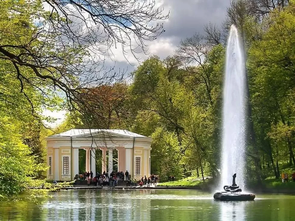 travel program image