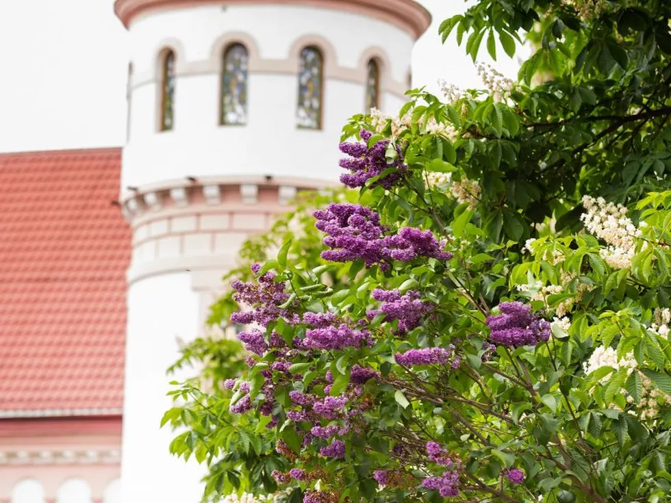 travel program image