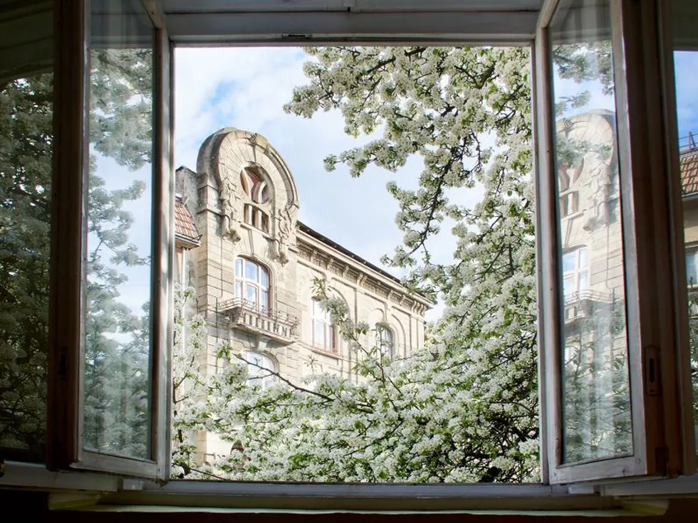 travel program image