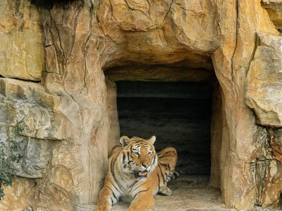 travel program image