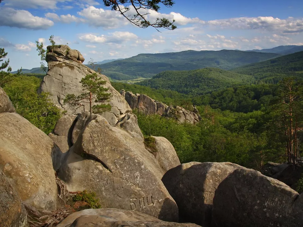 travel program image