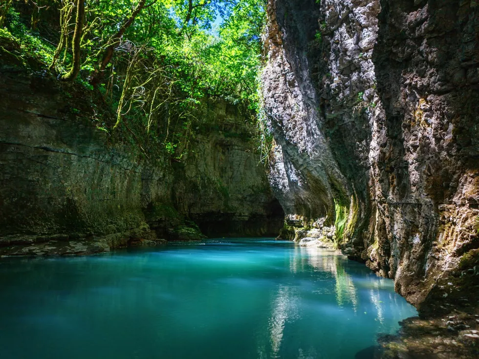travel program image