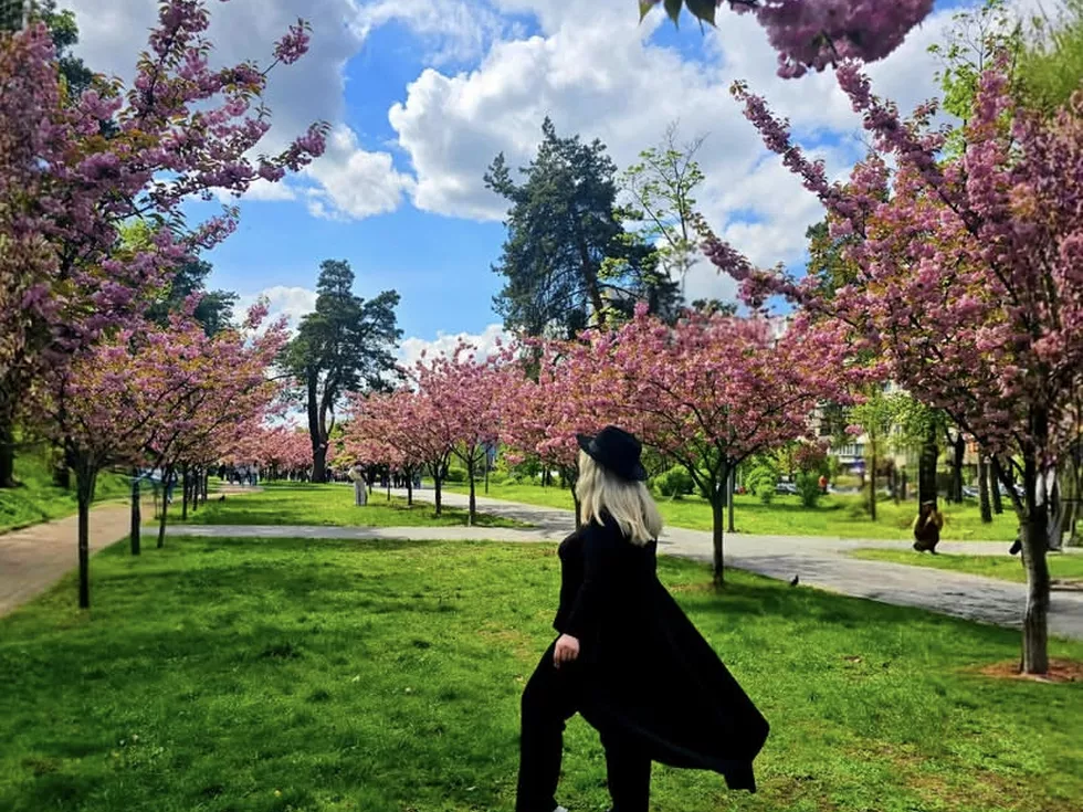 travel program image