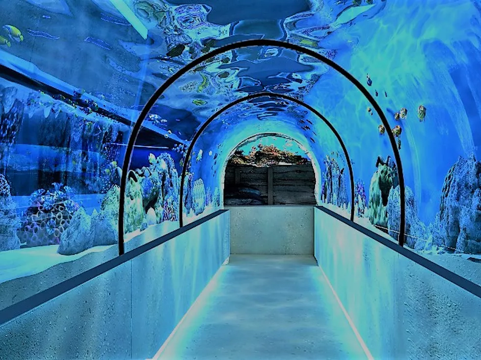 travel program image
