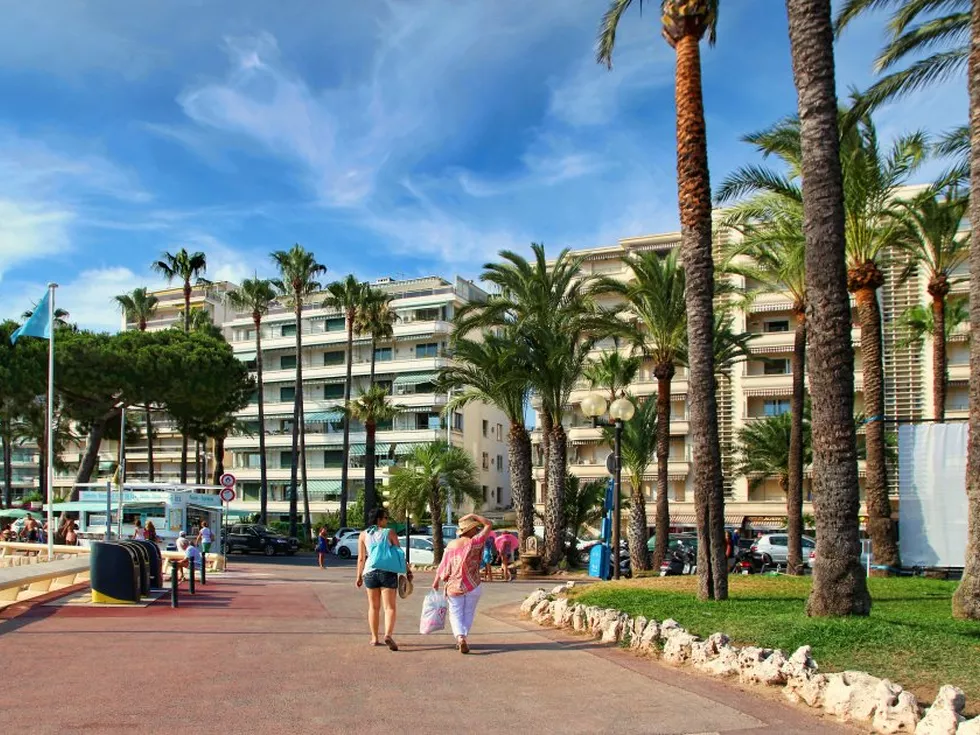 travel program image