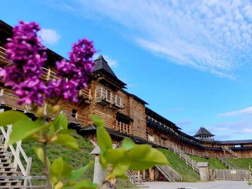 travel program image
