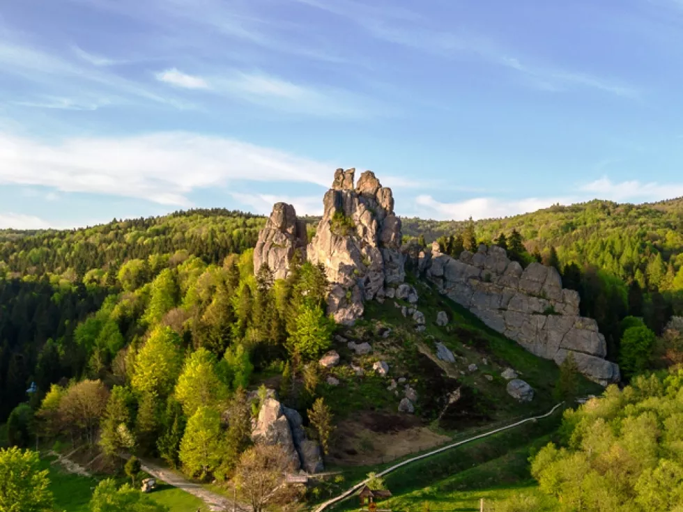 travel program image