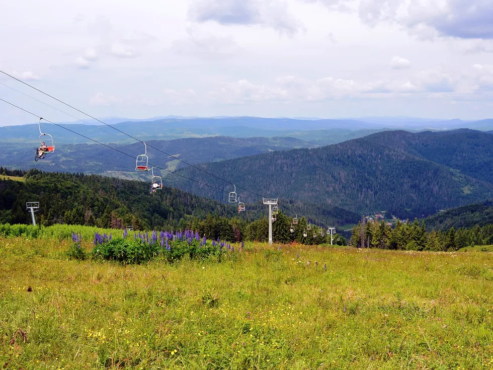 travel program image