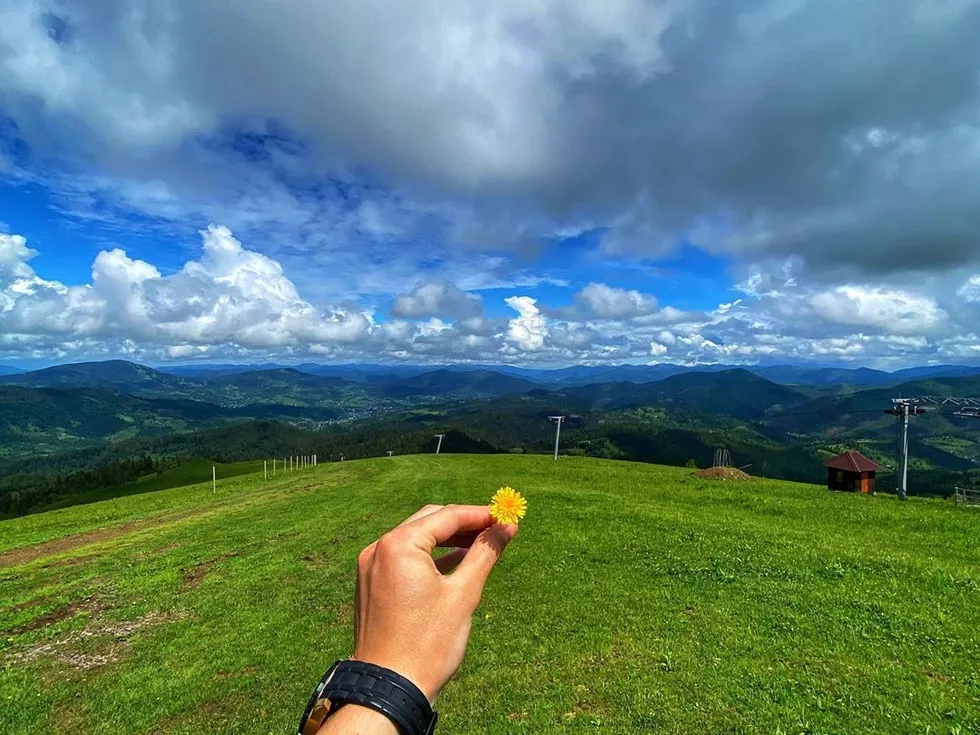 travel program image