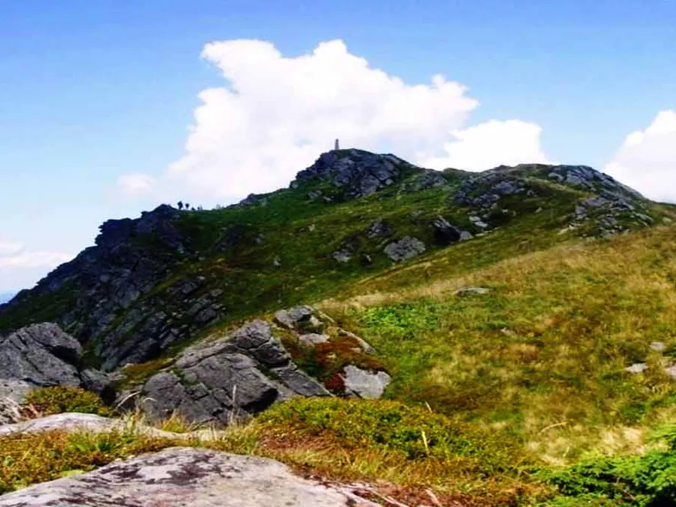 travel program image
