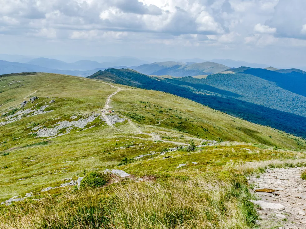 travel program image