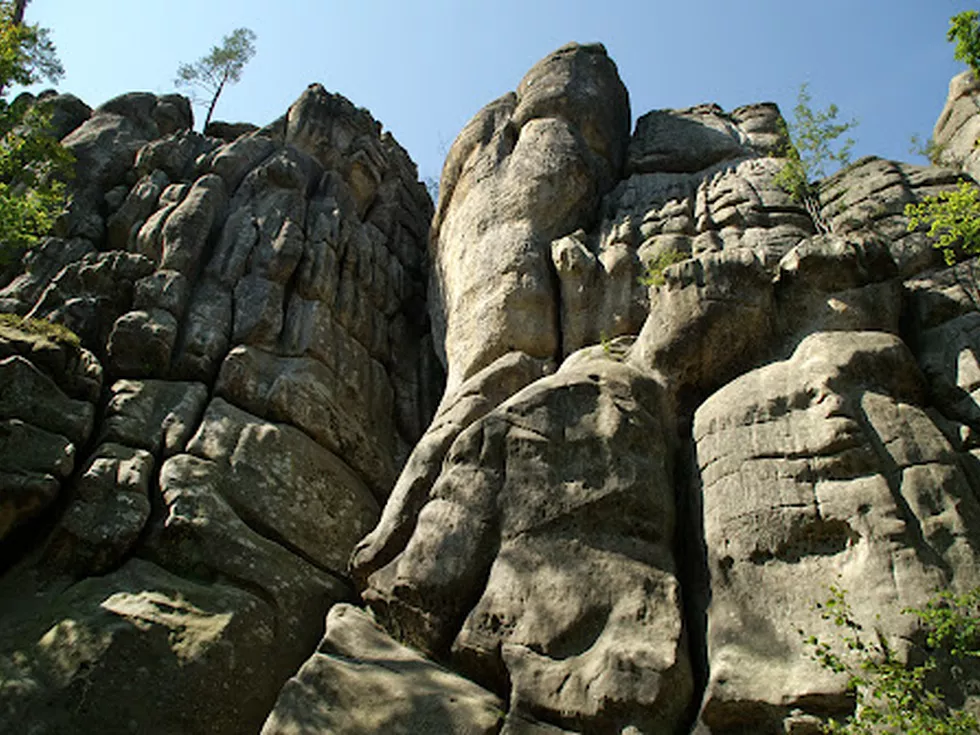 travel program image