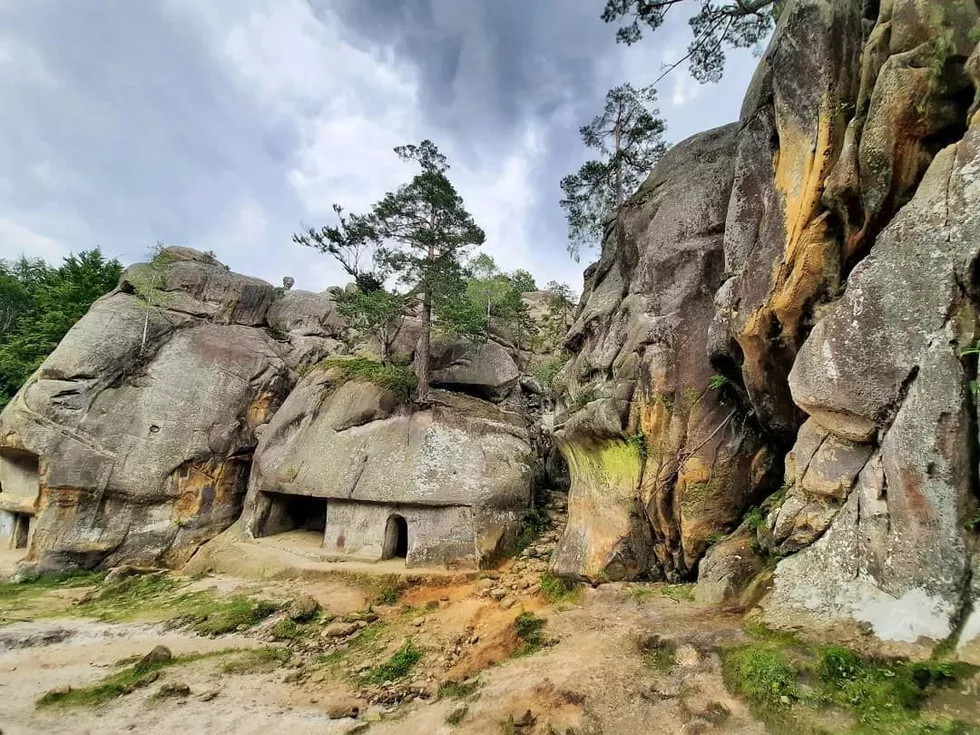 travel program image