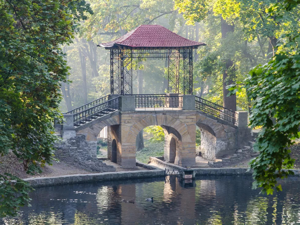 travel program image