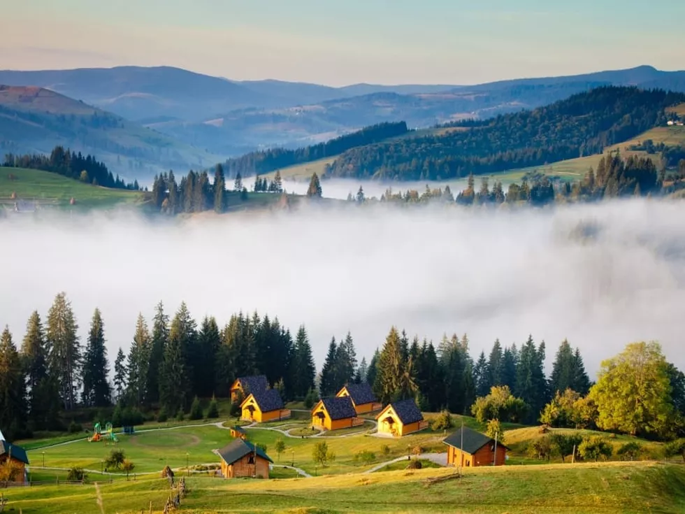 travel program image
