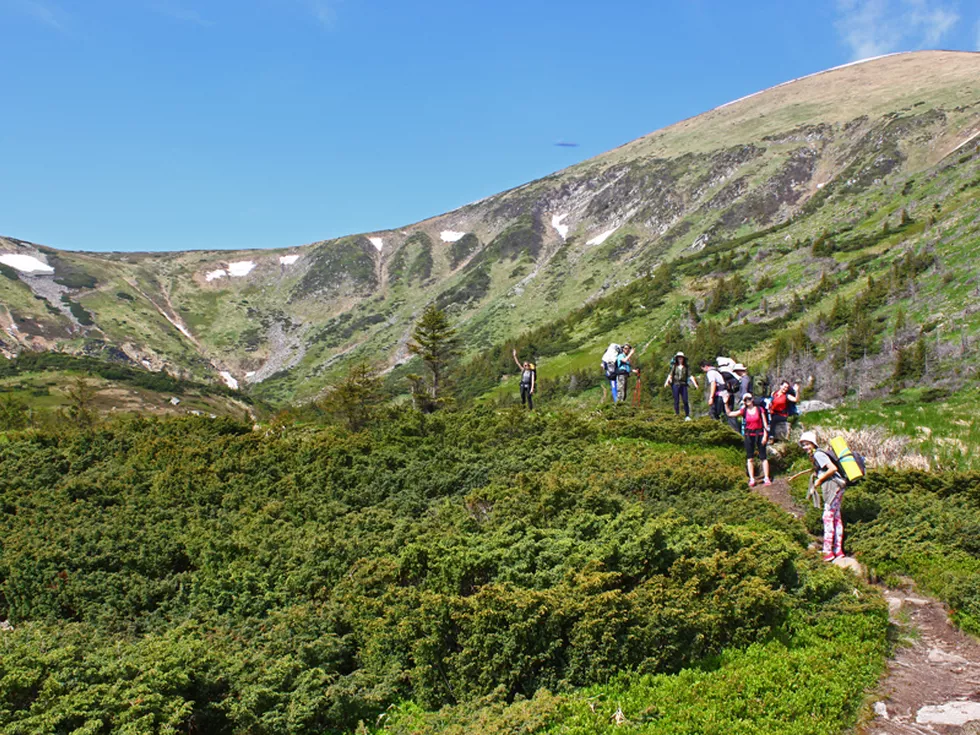 travel program image