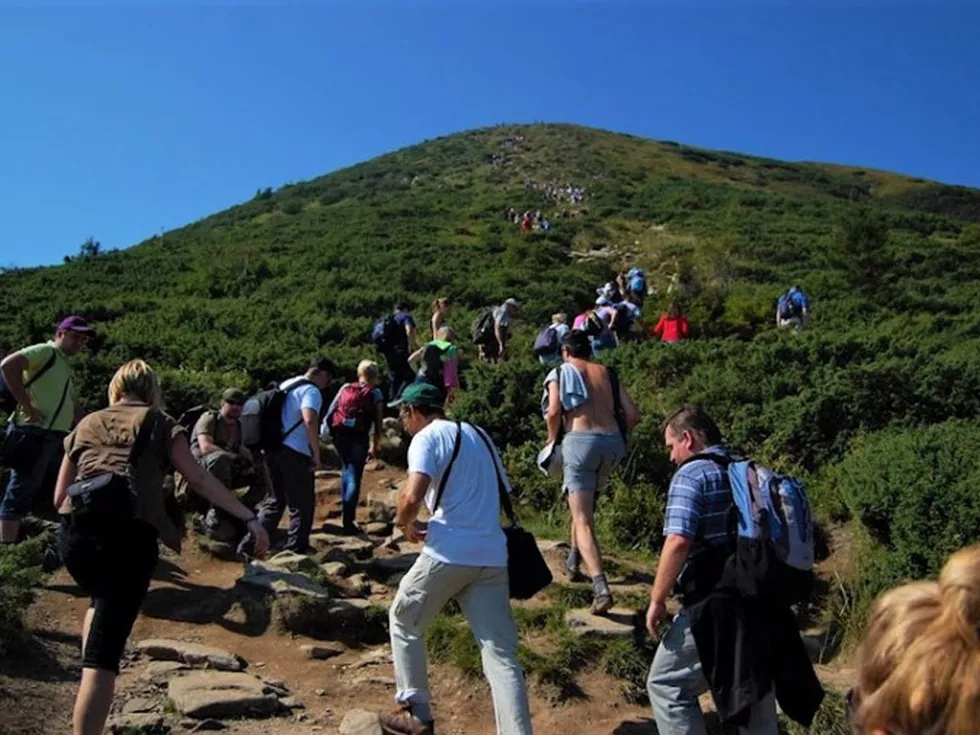 travel program image