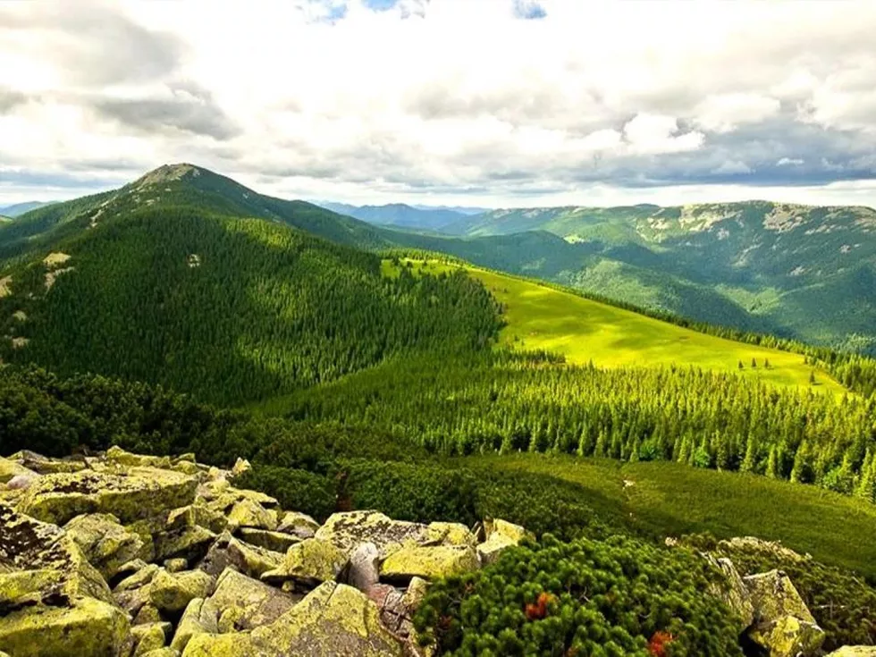 travel program image