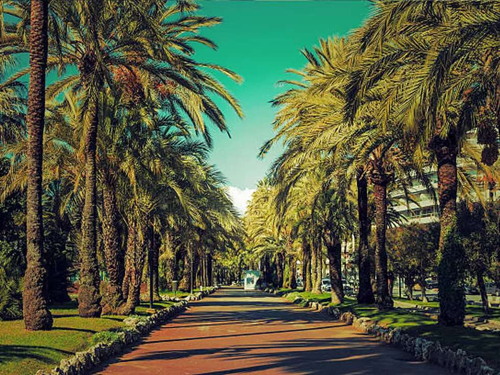 travel program image