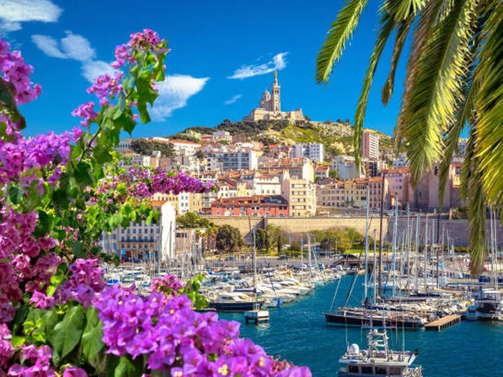 travel program image