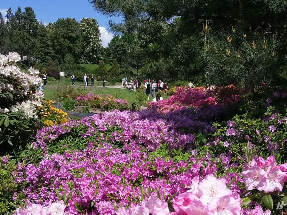 travel program image